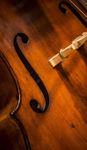 BERNSTEIN CENTENNIAL SUMMER - summer 2018 - Brook Farm Inn