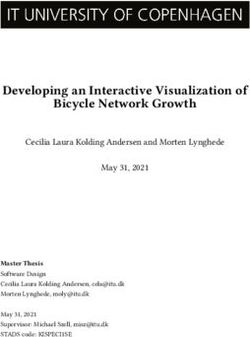 Developing an Interactive Visualization of Bicycle Network Growth