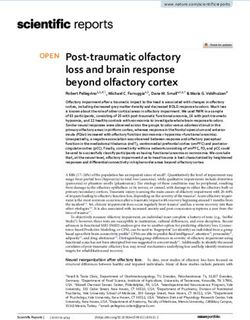 Post traumatic olfactory loss and brain response beyond olfactory cortex - Nature