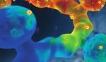 2020 YEAR IN REVIEW - MAX PLANCK FLORIDA RESPONDS TO CORONAVIRUS CRISIS - Max Planck Florida Institute
