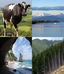 Waikato, Ngā Tai ki te Puku - Fire Plan for - Fire and Emergency New Zealand