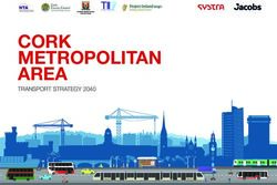CORK METROPOLITAN AREA - TRANSPORT STRATEGY 2040 - National Transport Authority
