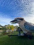 The Giant Kookaburra and Friends - Sponsorship Proposal - Dr Farvardin Daliri
