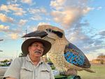 The Giant Kookaburra and Friends - Sponsorship Proposal - Dr Farvardin Daliri