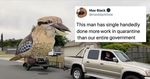 The Giant Kookaburra and Friends - Sponsorship Proposal - Dr Farvardin Daliri