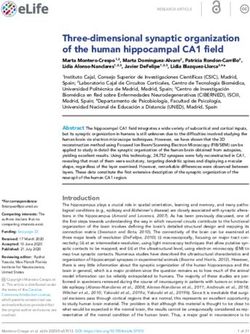 Three-dimensional synaptic organization of the human hippocampal CA1 field - eLife