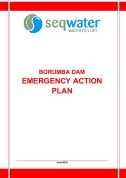 EMERGENCY ACTION PLAN - BORUMBA DAM - Department of Natural ...