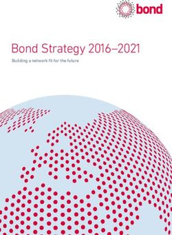 Bond Strategy 2016-2021 - Building a network fit for the future