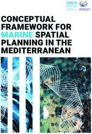 CONCEPTUAL FRAMEWORK FOR MARINE SPATIAL PLANNING IN THE MEDITERRANEAN - PAP/RAC