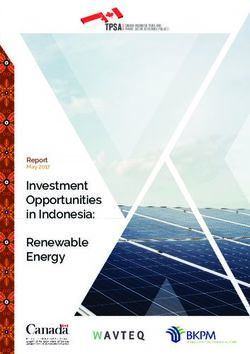 Investment Opportunities in Indonesia: Renewable Energy - TPSA - Canada-Indonesia Trade and Private ...