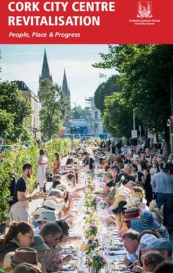 Cork City Centre revitalisation - People, Place & Progress - Cork Chamber
