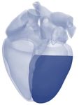 A machine learning method for real-time numerical simulations of cardiac electromechanics