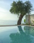 HOSPITALITY MARKET DECEMBER 2018 - Greek Hospitality Market Snapshot ...