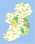 Geographical, clinical, clinicopathological and radiographic features of canine angiostrongylosis in Irish dogs: a retrospective study