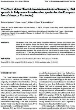 The Giant Asian Mantis Hierodula tenuidentata Saussure, 1869 spreads in Italy: a new invasive alien species for the European fauna? Insecta ...