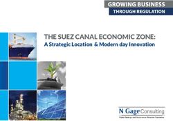 The Suez Canal eConomiC zone: a Strategic location & modern day innovation - N Gage Consulting