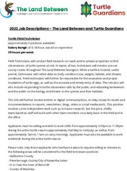 2022 Job Descriptions - The Land Between and Turtle Guardians