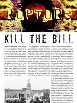 RUPTURE KILL THE BILL - Rupture Zine