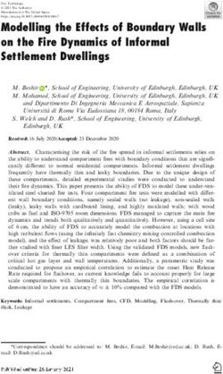 Modelling the Effects of Boundary Walls on the Fire Dynamics of Informal Settlement Dwellings