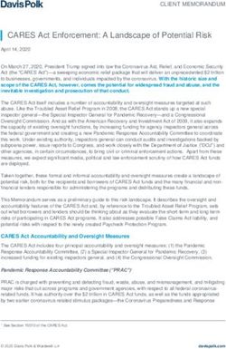 CARES Act Enforcement: A Landscape of Potential Risk - Davis Polk