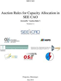 SEE CAO Auction Rules for Capacity Allocation in - SEE CAO