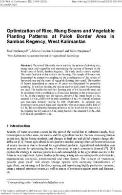 Optimization of Rice, Mung Beans and Vegetable Planting Patterns at Paloh Border Area in Sambas Regency, West Kalimantan