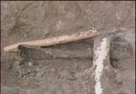 Introduction to the Leading Practices for Cross Bore Risk Reduction