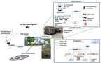 Overview of SES's Innovation Activities on Satellite Integration into 5G - 5G-VINNI
