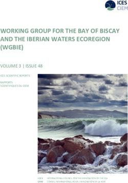 WORKING GROUP FOR THE BAY OF BISCAY AND THE IBERIAN WATERS ECOREGION (WGBIE)