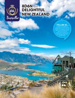 DELIGHTFUL NEW ZEALAND - 8D6N NZSTHW - EU ...