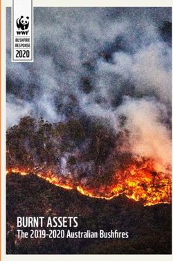 BURNT ASSETS The 2019-2020 Australian Bushfires 2020 - WWF-Australia