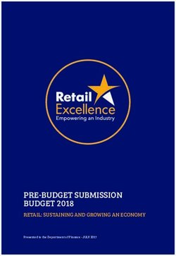 PRE-BUDGET SUBMISSION BUDGET 2018 - RETAIL: SUSTAINING AND GROWING AN ECONOMY Presented to the Department of Finance - JULY 2017 - Retail Excellence