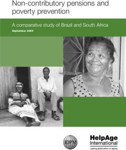 Non-contributory pensions and poverty prevention - A comparative study of Brazil and South Africa