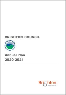 BRIGHTON COUNCIL Annual Plan 2020-2021