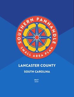 LANCASTER COUNTY SOUTH CAROLINA - DRAFT 2/2/21