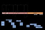 Airspace Modernisation Supporting Documents NATS Feasibility Report into Airspace Modernisation in the South of the UK and the CAA Assurance into ...