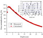 Computational modelling of cervix radiation procedure using a virtual anthropomorphic phantom and the MCNPX code