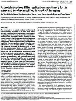 A proteinase-free DNA replication machinery for in vitroand invivoamplified MicroRNA imaging