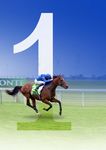 COOLMORE TO SHUTTLE EUROPE'S UNLIKELY WONDER STALLION WOOTTON BASSETT - PAGE 1 - ANZ Bloodstock News