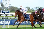 COOLMORE TO SHUTTLE EUROPE'S UNLIKELY WONDER STALLION WOOTTON BASSETT - PAGE 1 - ANZ Bloodstock News