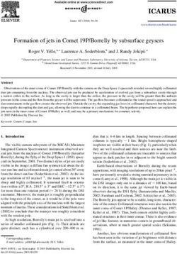 Formation of jets in Comet 19P/Borrelly by subsurface geysers