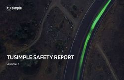 TUSIMPLE SAFETY REPORT - VERSION 2.0