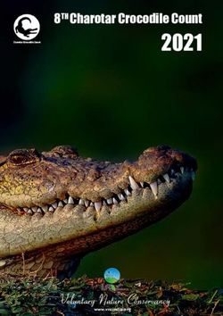 2021 8TH Charotar Crocodile Count - Voluntary Nature Conservancy - Crocodile Specialist Group