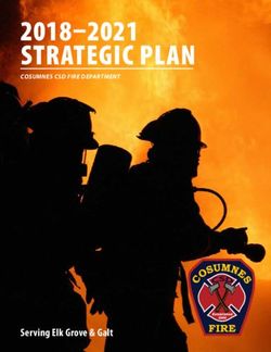 STRATEGIC PLAN 2018-2021 - Serving Elk Grove & Galt - COSUMNES CSD FIRE DEPARTMENT