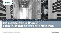 Das Energiesystem im Umbruch - Speichertechnologien f&uuml;r die Welt von morgen - Dr. W. Weydanz, Technologiezentrum Energie Ruhstorf (TZE), 23. April ...