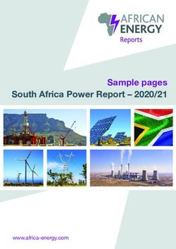 Sample pages South Africa Power Report 2020/21 - www.africa-energy.com