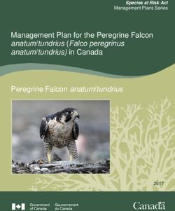 Management Plan for the Peregrine Falcon anatum/tundrius (Falco peregrinus anatum/tundrius) in Canada Peregrine Falcon anatum/tundrius - Species ...