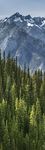 Sustainability in Action - 2022 Sustainability Report - Air Products