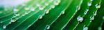 Sustainability in Action - 2022 Sustainability Report - Air Products