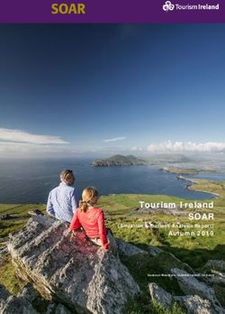 Tourism Ireland SOAR Autumn 2019 (Situation & Outlook Analysis Report)